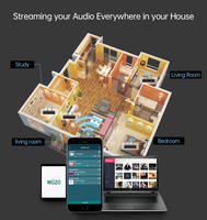 IHOMELIFE WA60 50W x 2 HIFI Stereo amplifikatör kablosuz çoklu oda ev ses TV HD ses amplifikatörü