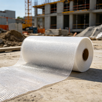 Rete in Fibra di Vetro Autoadesiva 80gsm 90gsm 110gsm per Pannelli EPS Stucco XPS 145gsm 160gsm 4*4mm 5*5mm