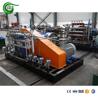 Compresseur à diaphragme à hélium (He) haute pureté et haute performance, sans huile, alimenté par courant alternatif, pression d'entrée 10 bars, pression de sortie 200 bars, débit 750 Nm³/h