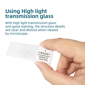 玉林医学教育研究自然人体組織学顕微鏡プレパラートスライド100枚セット サイズ3 モデルYL8-10001 - Product Image 3