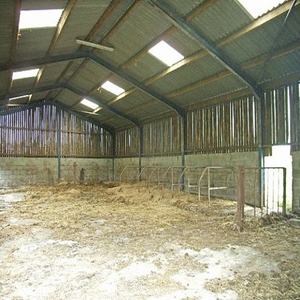 Diseño de estructura de acero prefabricada Almacén Pequeña granja Taller Cobertizo para vacas - Product Image 1