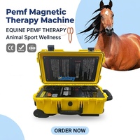 PEMF LOOP Chevaux, Produits de physiothérapie équine PEMF LOOP, Appareil de physiothérapie pour le soulagement des douleurs corporelles