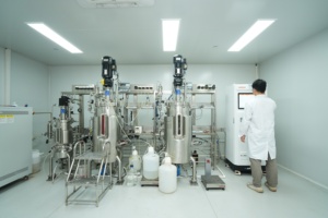 Coenzyme Q10 de qualité alimentaire certifiée GMP, Kosher, Halal, ISO22000, poudre cristalline orange à 98%, compléments alimentaires, améliore - Product Image 6