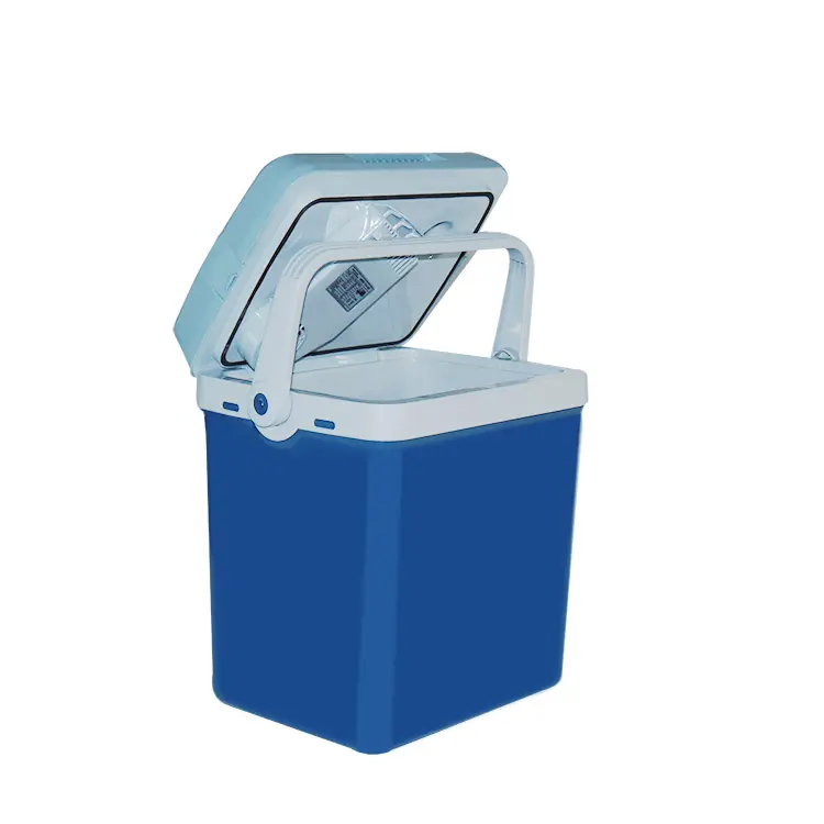 26 Liter Mini Refrigerator for Car Peltier Thermoelectric Cooler Box 12V 12 Volt Fridge Ce