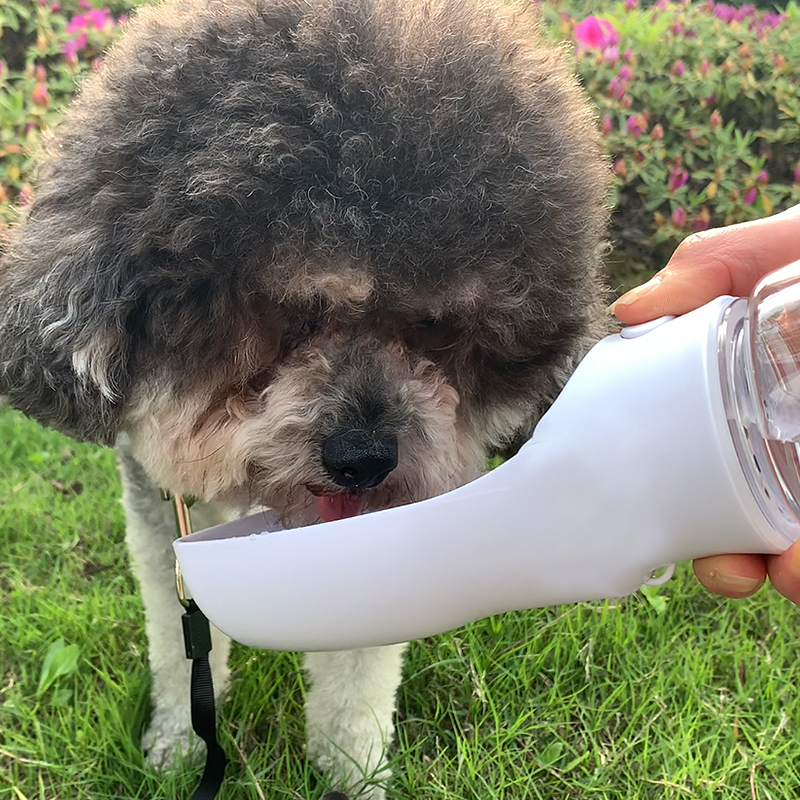 pet drinking bottle