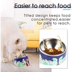 Comedero Inclinado para Mascotas Super Design de 0.5 Tazas Antideslizante para Perros y Gatos - Product Image 3