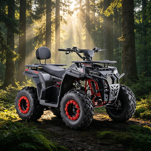 <span class=keywords><strong>Cuatrimoto</strong></span> ATV de Gasolina de 180cc en Oferta, con Neumáticos Grandes de 10 Pulgadas, Vehículo Todoterreno Profesional de 4 Ruedas para el Mercado de Oriente Medio - Product Image 5