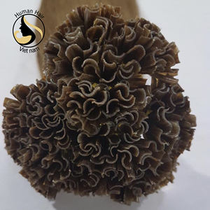 Extensions de cheveux naturels en kératine italienne — U, cheveux humains à Double embout, i-u ou à plat, dessin, vente en gros, 99j - Product Image 5