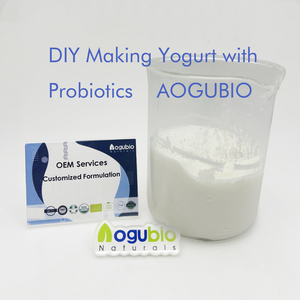 Poudre <span class=keywords><strong>probiotique</strong></span> Premium Lactobacillus <span class=keywords><strong>Gasseri</strong></span>-Soutient la santé digestive et intestinale - Product Image 4