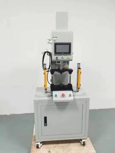 Servopresse für Zündkerzenmontage Hochpräzise Einpressung für Automobilzündkomponenten - Product Image 3