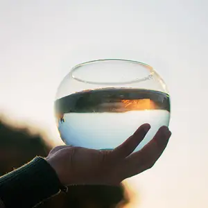 热卖定制不同尺寸办公家用玻璃圆形泡泡碗地球仪花玻璃花瓶摆件