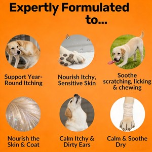 Shampoo anti-démangeaisons pour chiens et chats, respectueux de l'environnement, Pevet, action rapide, soulage les démangeaisons cutanées, réduit la perte de poils, les taches rouges, réduit l'inflammation - Product Image 5