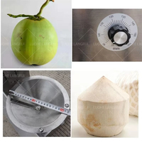 Automatische Kokosmelkmachine, Groene Kokos Schil- en Snijmachine, Fruit Schilmachine