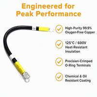 Rangkaian Kabel Sistem Penyimpanan Energi (ESS) Tugas Berat Baru, Harness Kabel Nylon/PBT/Karet untuk Distribusi Daya Skala Besar