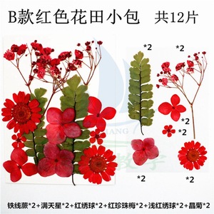 Matériaux de fleurs séchées sur mesure, combinaisons de fleurs pressées, fleurs pressées, fleurs naturelles, feuilles, peintures de spécimens, séchées - Product Image 5