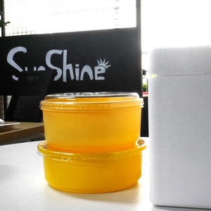 Cajas de Espuma Desechables Personalizadas para Alimentos Congelados, Cajas de Envío para Pasteles, Pasteles Frescos - Product Image 5