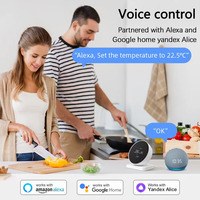 Système d'automatisation de thermostat RF sans fil RKHK, passerelle à écran tactile avec panneau de commande vocal Alexa, récepteur Tuya pour maison intelligente