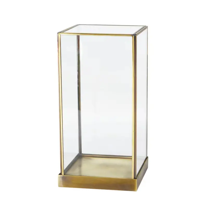 Fleur éternelle boîte en verre carrée Micro paysage affichage ornement Table Vase dôme en verre dôme avec décoration cadeau vide