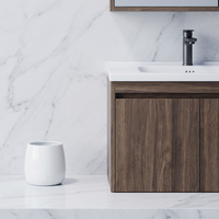 ETON Kabinet Kamar Mandi Modern Tahan Air dengan Lapisan Lacquer 48 Inci Persegi, Termasuk Wastafel Keramik dan Cermin Dinding