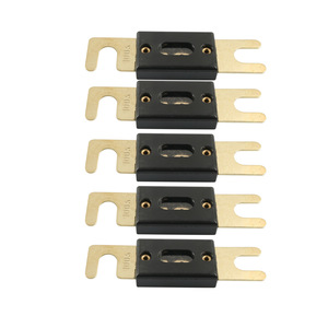 Lot de 5 fusibles plats ANL 100A pour voiture, véhicule, système audio-vidéo marin, plaqué or, type à borne axiale, à fusion rapide, non indicateur - Product Image 1