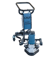 Meuleuse manuelle CALF avec support 10 pouces JS 3 têtes 250 mm, machine à meuler avec cadre 110V/220V