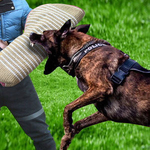 Juego <span class=keywords><strong>de</strong></span> entrenamiento <span class=keywords><strong>de</strong></span> <span class=keywords><strong>mordedura</strong></span> <span class=keywords><strong>de</strong></span> perro profesional Brazo <span class=keywords><strong>de</strong></span> manga <span class=keywords><strong>de</strong></span> <span class=keywords><strong>mordedura</strong></span> <span class=keywords><strong>de</strong></span> perro con palo <span class=keywords><strong>de</strong></span> agitación <span class=keywords><strong>de</strong></span> látigo para protección <span class=keywords><strong>de</strong></span> entrenamiento <span class=keywords><strong>de</strong></span> perros para morder - Product Image 3