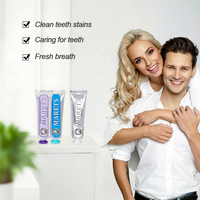 Dentifrice Haute Qualité 100g Saveur Menthe Pour Maison Version Anglaise Modèle Dents Haleine Fraîche En Stock