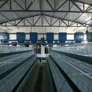 ที่ขายดีที่สุดทำรังไก่สำหรับการวางไก่/กรงแบตเตอรี่สำหรับชั้นในยูกันดา - Product Image 5