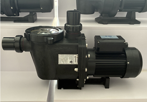 Pompe de piscine Pentair 2026, robuste, fabriquée pour les piscines, prix d'usine - Product Image 6