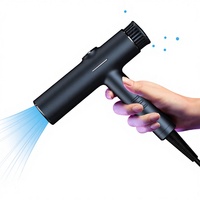 Sèche-cheveux électrique professionnel OEM 1200W avec moteur BLDC sans balais, fonction ionique et design en T inversé pour hôtels