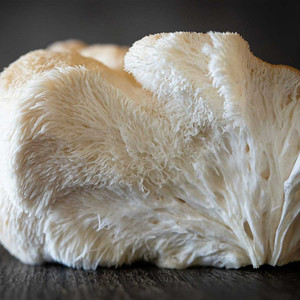 ISO/KOSHER/GMP Chất Lượng Cao Hữu Cơ 50:1 Lions Mane <span class=keywords><strong>Extract</strong></span> - Product Image 2