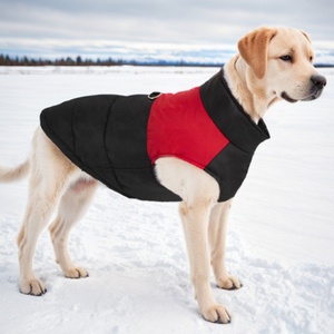 Chaqueta con capucha <span class=keywords><strong>de</strong></span> 2 patas a prueba <span class=keywords><strong>de</strong></span> viento para gatos, ropa <span class=keywords><strong>de</strong></span> invierno para cachorros, Abrigo acolchado para perros Toro francés, <span class=keywords><strong>Chihuahua</strong></span>, Yorkies - Product Image 1