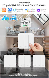 Tuya <span class=keywords><strong>Wifi</strong></span> Nhà Thông Minh Ánh Sáng Chuyển Đổi Rf433mhz Không Dây PC Bar Cho Ngoài Trời Nhà Để Xe Khách Sạn Sử Dụng Ứng Dụng Bằng Giọng Nói Trợ Lý Điều Khiển-Google Nhà - Product Image 5