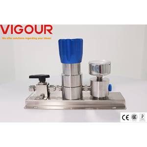 Assemblages de bâtons de gaz de laboratoire de filtre SS 316L à un étage Régulateur de CO2 de régulateur de pression de Type taraudage à montage mural - Product Image 2