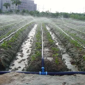 Tubo flessibile per pioggia tubo flessibile per irrigazione a Micro spruzzo tubo flessibile per irrigazione di verdure