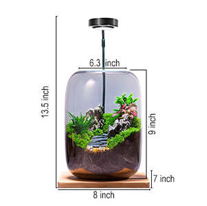 Modernes Bauernhaus Design Zen Garden <span class=keywords><strong>Terrarium</strong></span> Kit mit Lampen faser Material Boden Desktop Usage Home - Product Image 4