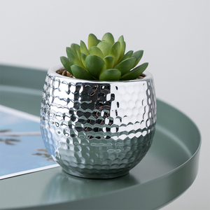 Mini <span class=keywords><strong>Piante</strong></span> <span class=keywords><strong>Grasse</strong></span> Artificiali <span class=keywords><strong>in</strong></span> <span class=keywords><strong>Vaso</strong></span> per Decorazione Ufficio Casa <span class=keywords><strong>Giardino</strong></span> Bonsai - Product Image 6