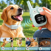 Maßgefertigtes Elektrisches Hundetraining-Halsband mit Fernbedienung, Kompaktes Niedliches Design, Lange Standby-Zeit, Heimtrainingsgerät