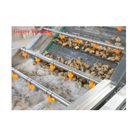 Multifunctionele Date Jujube Orange Dragon Fruit en Groente Bubble Wasmachine in Ecuador