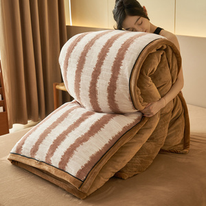 Bộ chăn ga gối đệm (vỏ chăn + mền bên trong) Bộ chăn ga gối đệm sang trọng dày 2 cái/bộ có thể giặt được - Product Image 4