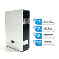 Batterie solaire hors réseau 5 kWh 100 Ah 51,2 V à prix d'usine avec BMS intégré, batterie lithium 100 Ah 48 V pour maison à batterie lithium