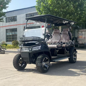 Luxury Matte Black 6 Seater Utility Golf Cart Custom <b>Paint</b> For Resort Villa Group Guest Transport - Product Image 6