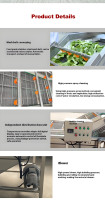 Chinese Fabriek Ontwerp Industriële Fruit En Groente Wasmachine Machines Water Recycling Peer Wasmachine