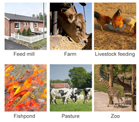 Chaude Mini Animal Poulet Alimentation Granule Moulin Machine Poisson Bovins Granulateur Traitement Porc Produire Volaille Moteur Noyau