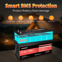 Baterai Lithium LiFePO4 12V 24V 25.6V 100ah 200ah 280ah Baru dengan BMS 100A 6000+ Siklus untuk Inverter Solar RV Bebas Pajak