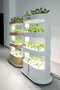 Jardinière agricole système hydroponique vertical tour pour laitue maison culture petite serre pour maison <span class=keywords><strong>jardin</strong></span> - Product Image 3