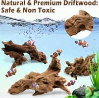 PKY Poland Bogwood Bois de rivière artificiel pour aquascape, design araignée, petit bois flottant pour aquarium, bois de méné de rivière