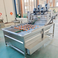 Industriële multifunctionele belletjeswasmachine voor de verwerking van groenten en maïs, voedselveilige roestvrij staal