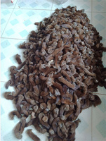 Material para sombreros judíos tradicionales hassidíes al por mayor: Cola de sable rusa, Cola de sable canadiense, Cola de mapache, Piel para Shtrimeles judíos