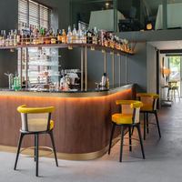 Ensemble de canapés de restaurant modernes avec chaises en cuir et dossier en rotin, usage commercial, imperméable et écologique